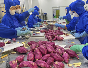 Patates douces surgelées en vrac offertes pour la préparation de plats surgelés en cuisine et les ventes alimentaires internationales - Product Image 6