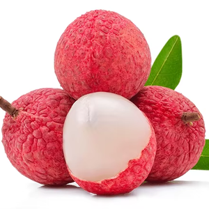 ลิ้นจี่สดจำนวนมาก แหล่งกำเนิดเวียดนาม ลิ้นจี่หวาน ระบบควบคุมอุณหภูมิ ขั้นต่ำ 1 ตัน พร้อมส่งออก - Product Image 1