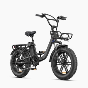 New <b>top</b> Electric Mountain Cargo Bike Central Motor EMK-EnginePro2.0 750W 48V 20Ah Multipurpose 120KG Max <b>Load</b> IPX5 Water - Product Image 2