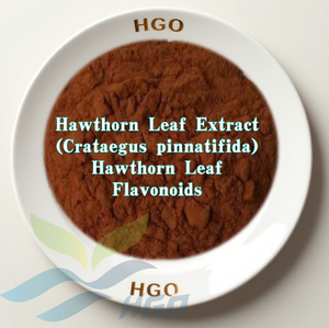 Hgo สารสกัดจากใบฮอว์ธอร์นธรรมชาติบริสุทธิ์จากโรงงานโดยตรง (Crataegus pinnatifida) 60% ฟลาโวนอยด์จากใบฮอว์ธอร์น - Product Image 1
