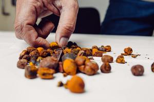 Cálculos biliares de vaca y buey al por mayor, piedras naturales, venta al por mayor, precio de fábrica, calidad superior, procedente de un exportador de abejas de confianza - Product Image 5