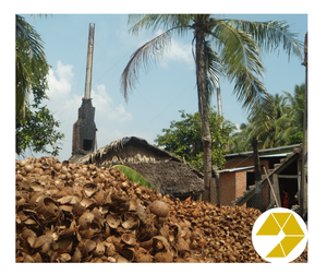 เปลือกมะพร้าวดิบสำหรับงานฝีมือจำนวนมาก100% ธรรมชาติ - Product Image 4