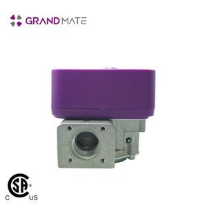 Appareil de cuisson 120v Valve de four à gaz de sécurité - Product Image 4