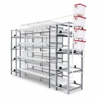 Cage à poules pondeuses de type H, 4 niveaux, 5 portes, 160 poules, cadre en acier haute teneur en zinc, système d'alimentation et d'abreuvement automatique