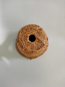 Eco2go-maceta de fibra de coco orgánico Natural, maceta de planta de fibra de coco para plantación de jardín, hecha en Vietnam - Product Image 6