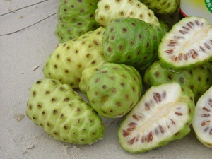 Fruta de noni congelada de la mejor calidad disponible a granel - Product Image 5