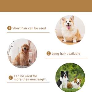 Cuchillas de Repuesto Profesionales Desmontables de Acero Inoxidable para Uso Doméstico - Product Image 1