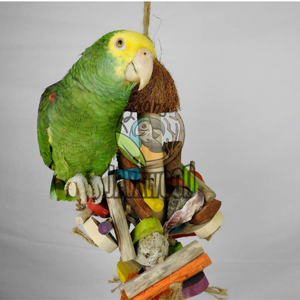 Juego de juguetes para masticar de alta calidad para loros Hecho de madera maciza duradera y sostenible de Indonesia - Product Image 4