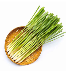 การส่งออกตะไคร้ที่เชื่อถือได้: พันธมิตรของคุณสำหรับสินค้าสดและแช่แข็งจำนวนมากจากเวียดนาม - Product Image 1