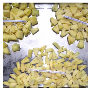 Fourniture en vrac d'ananas congelés en dés d'ananas congelés avec une saveur de haute qualité et un arôme tropical pour les applications de smoothie - Product Image 3