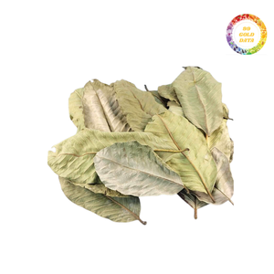 Wholesale Dried Guava Leaves - Low Price, Clean Processing, Ready for <b>Tea</b> or Extract Use - Product Image 4