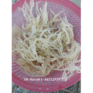 Eucheuma Cottonii cru en gros salé et non salé Mousse de mer biologique séchée au soleil Mousse irlandaise or/blanc/violet. - Product Image 3