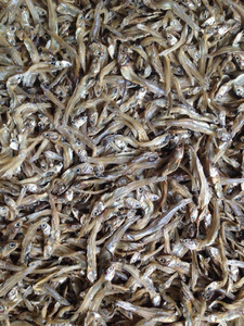 TOP VENTAS OFERTA CALIENTE ANCHOVÍA SECA AL POR MAYOR NATURAL PURO LISTO PARA USAR PARA EXPORTAR - Product Image 5