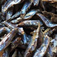 FRUITS DE MER FRAIS EN VRAC | HARENG À LA VAPEUR ET SÉCHAGE