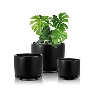 Modern Design Black Colored Customized Flower Plant for Garden Ware Metal Flower Pot Planter for Home Decoration