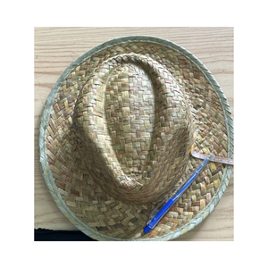 Sombrero mexicano de paja natural promocional para suministro de actividades a granel Venta caliente Sombreros clásicos unisex de México Sombrero - Product Image 1
