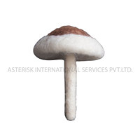 Champignons feutrés en laine de Nouvelle-Zélande de haute qualité Décorations de Noël durables Objet cadeau Projet d'artisanat Fournitures en gros