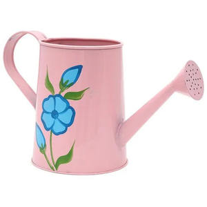 Dernière conception arrosoir bouteille d'eau fer métal fini bidon d'eau avec vente en gros prix artisanat - Product Image 4