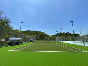 Gazon artificiel de tennis professionnel certifié écologique 15 mm en PE, emballage PP, surface de qualité professionnelle pour intérieur/extérieur - Product Image 1