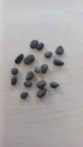 Proveedor regular de adoquines de piedra natural redondos lisos y guijarros pulidos más pequeños para la exportación - Product Image 3