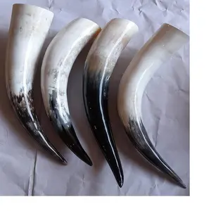Cornes de buffle naturelles faites sur mesure, idéales pour la décoration de la maison et pour les magasins de fournitures viking pour la revente - Product Image 1