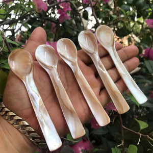 Cuillère en nacre faite à la main pour servir des collections de cadeaux Restaurants de luxe et vaisselle exclusive - Product Image 1