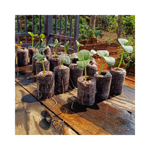Jiffy de tourbe de coco biodégradable pour l'ensemencement de granulés de tourbe de coco du Vietnam à bon prix - Product Image 1