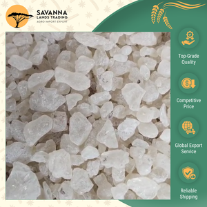 Experiencia Profunda en la Fabricación de Goma Damar Seca Natural de la Más Alta Calidad con 12 Meses de Vida Útil a un Precio de Mercado con Descuento - Product Image 3