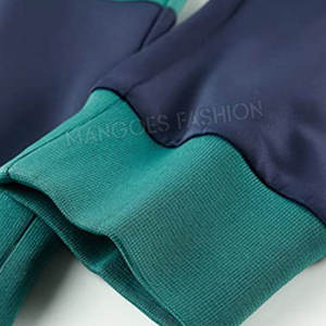 ชุดวอร์มลำลองผ้าโพลีเอสเตอร์/คอตตอนคุณภาพสูง ปักโลโก้ตามสั่ง แขนยาวทรงปกติสำหรับผู้ชาย ดีไซน์ OEM สำหรับฤดูใบไม้ผลิ - Product Image 4