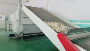 สายการผลิตผงกล้วยอัตโนมัติ วัสดุ SUS304 กำลังการผลิต 50-1000 กก./ชม. - Product Image 2