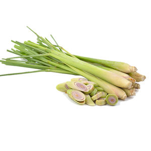 High Quality Frozen Lemongrass from Vietnam Premium Vegetable Product - Product Image 1