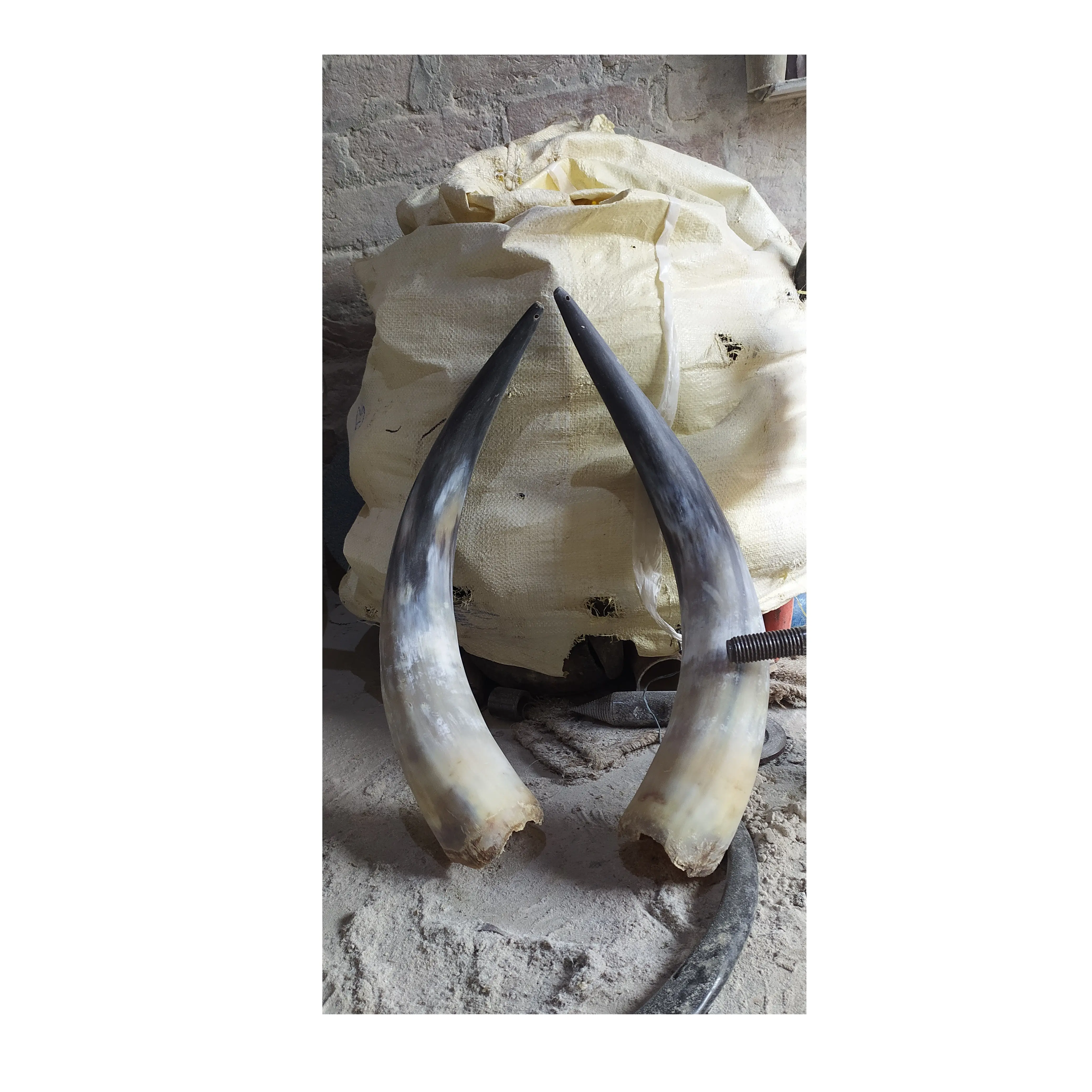 latest piece buffalo pair horn unpolished For Home Decorative food rice soup Bowl Newly Design horn Fruit Bowl