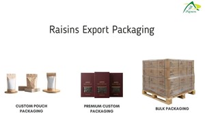 Raisins Malayar Premium, raisins indiens sans pépins de la marque Apex, vente en gros depuis le Rajasthan - Product Image 6
