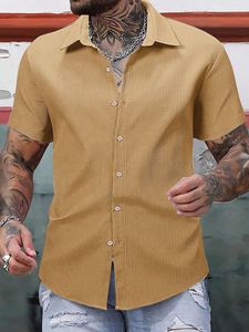 ที่กําหนดเองฤดูร้อนผู้ชายชาติพันธุ์พิมพ์ยืนคอปกผ้าฝ้ายลินินลายแขนสั้นหลวมเสื้อฮาวาย - Product Image 6