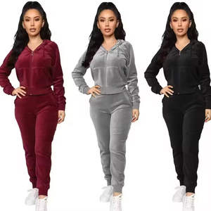 Conjunto de 2 Piezas de Chándal de Terciopelo para Mujer, Talla Grande, Personalizado, de Invierno, con Capucha y Cremallera, Pantalones Deportivos Elásticos - Product Image 2