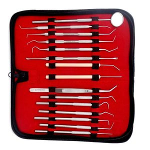 Juego de Instrumentos Dentales con Espejo y Palillos, Estuche de Acero Inoxidable, Manual, 15 Piezas, Certificado CE, Reutilizable, Clase I - Product Image 1