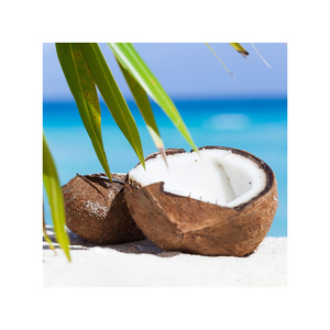 Nuez de Coco Seca Natural a Granel, Exportación al por Mayor, Proveedor de Fábrica para Supermercados, Fabricantes de Refrigerios y Distribuidores de Frutos Secos en Todo el Mundo - Product Image 5