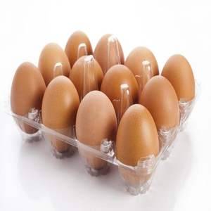 Huevos de Pollo de Engorde de Origen Estadounidense de Primera Calidad, Listos para Consumir, Disponibles Ahora al por Mayor con Entrega Rápida - Product Image 3