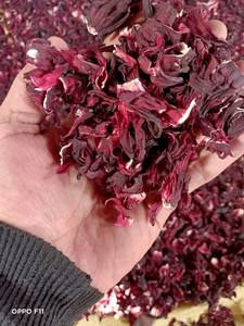 Production égyptienne El Ekhlas Co, hibiscus sec de qualité supérieure, épices et herbes uniques, durée de conservation de 2 ans, offre spéciale - Product Image 3