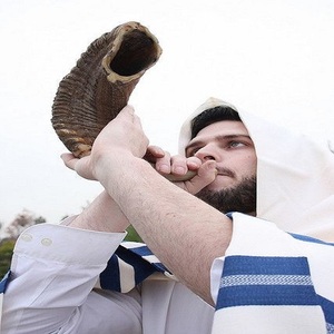 Kosher RAMS Horn shofar อินเดียเทคนิคขัดเงาคุณภาพเยี่ยมงานฝีมือธรรมชาติสไตล์สัตว์ที่ดีที่สุด - Product Image 4