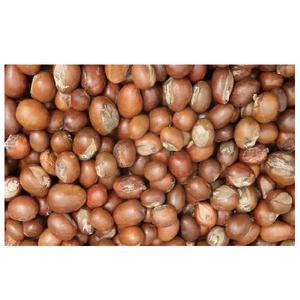 Nueces de karité crudas - Product Image 5