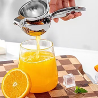 Presse-agrumes manuel multifonctionnel en métal écologique de style moderne pour fruits et légumes, outil de pressage portable pour la maison