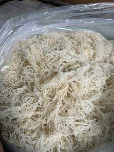 Hot Seller High Quality Cottini <b>Dried</b> Sea <b>Moss</b> Sargassum Irish Sea <b>Moss</b> Eucheuma Premium Seaweed for Export/ ANNA DO VILACONIC - Product Image 5