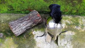 Casque Spartiate Finition Argentée Casque du Roi Leonidas Casque du Grand Guerrier Spartiate avec Présentoir - Product Image 5