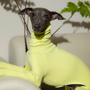 Haustierzubehör Moderner Umweltfreundlicher Ultra-Weicher Baumwoll-Hundeoverall für Kleine/Mittlere/Große Hunde - Product Image 5