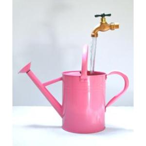 Lata de agua de metal ligera de inspiración antigua de calidad superior con construcción duradera y acabado elegante para jardinería de patio - Product Image 6