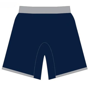 Ropa deportiva sublimada de alta calidad, pantalones cortos Mma, venta al por mayor, ropa de artes marciales, pantalones cortos Mma de marca personalizada para hombre - Product Image 2