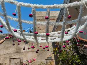 Bridal Canopy Jasmine With Peony Flower Pearl Chadar <b>for</b> Bride Entry Indian Pakistani Punjabi Floral Entrance Wedding Decor - Product Image 5