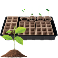 Serre miniature TG77613 pour semis avec pots en tourbe préformés pour un soin pratique des semis