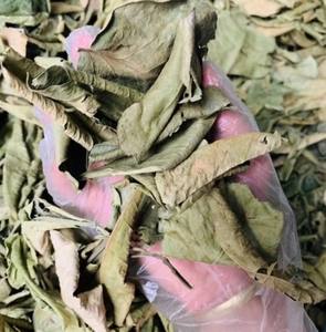 ใบส้มโอแห้งสำหรับชาสมุนไพร ดีท็อกซ์ และการผ่อนคลาย จำหน่ายจำนวนมากจากเวียดนาม - Product Image 3